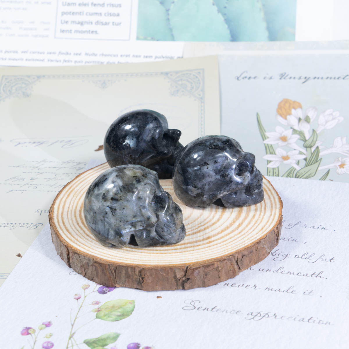 1,5-Zoll-Larvikit-Schädel in loser Schüttung