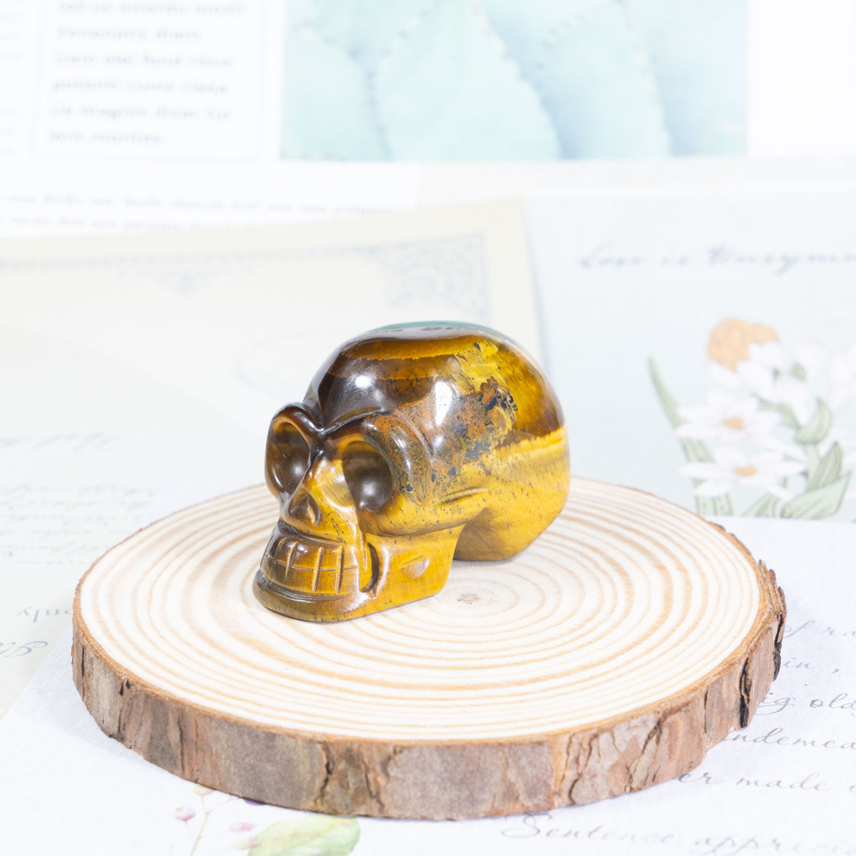 2-Zoll-Tigerauge-Steinschädel in loser Schüttung