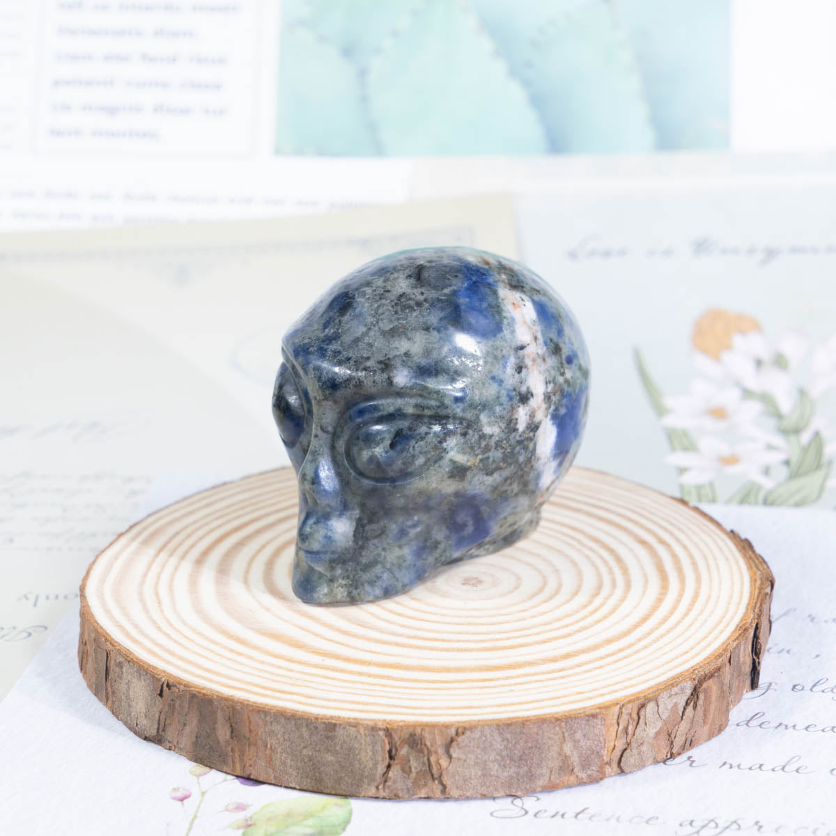 Cráneo alienígena de sodalita de 2 pulgadas a granel