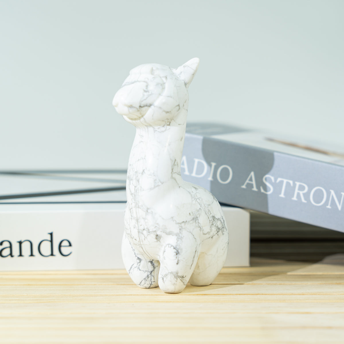 3.5-Inch Lama In Bulk