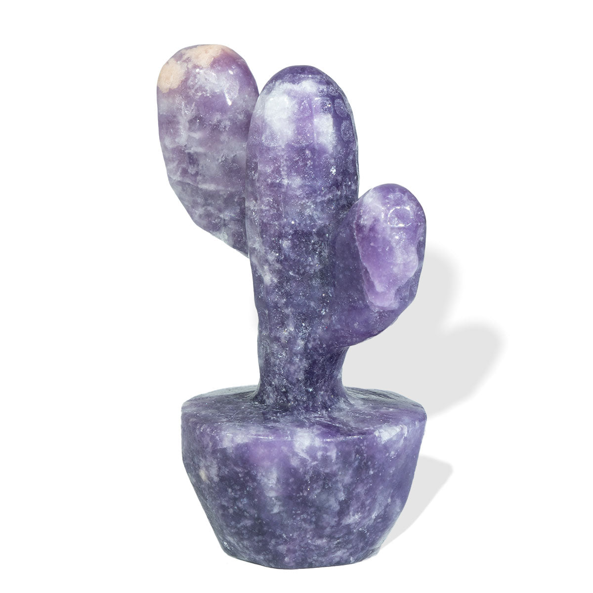 2.2-Inch Two-Branches Cactus In Bulk