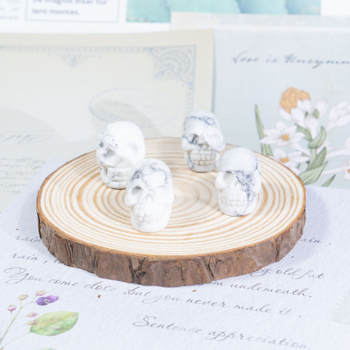 1-Zoll-Howlith-Schädel in loser Schüttung