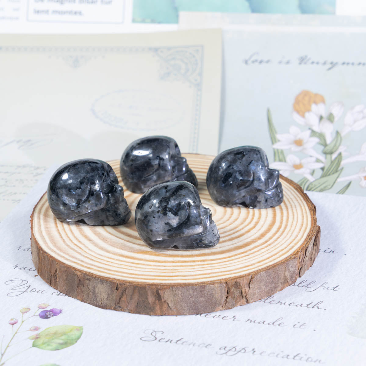 1-Zoll-Larvikit-Schädel in loser Schüttung