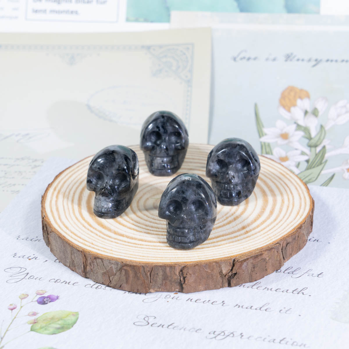 1-Zoll-Larvikit-Schädel in loser Schüttung