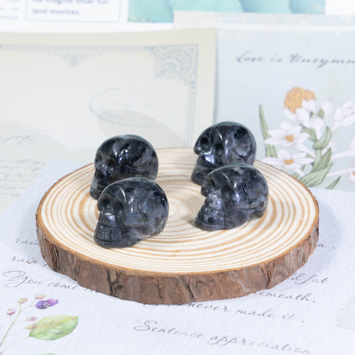 1-Zoll-Larvikit-Schädel in loser Schüttung