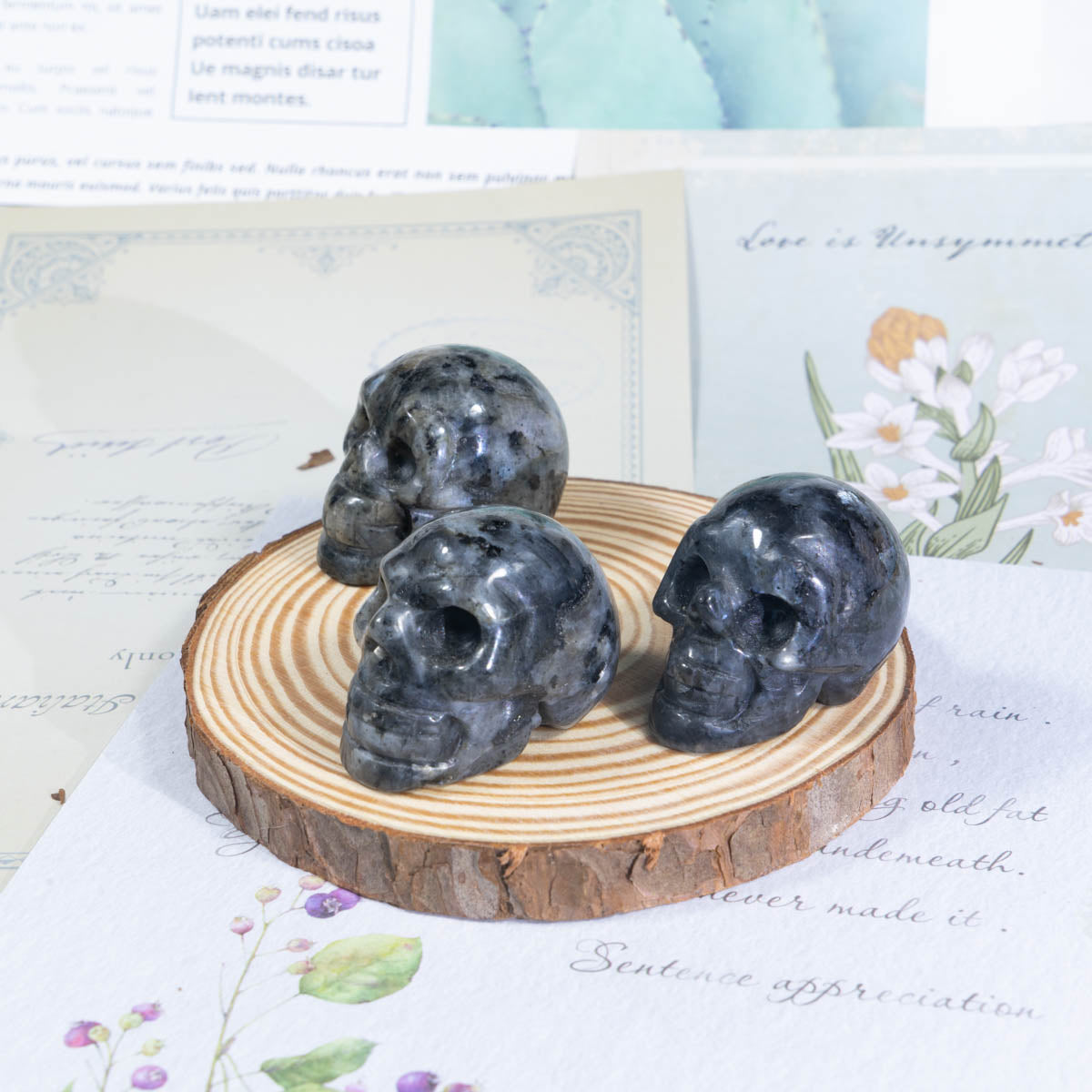 1,5-Zoll-Larvikit-Schädel in loser Schüttung