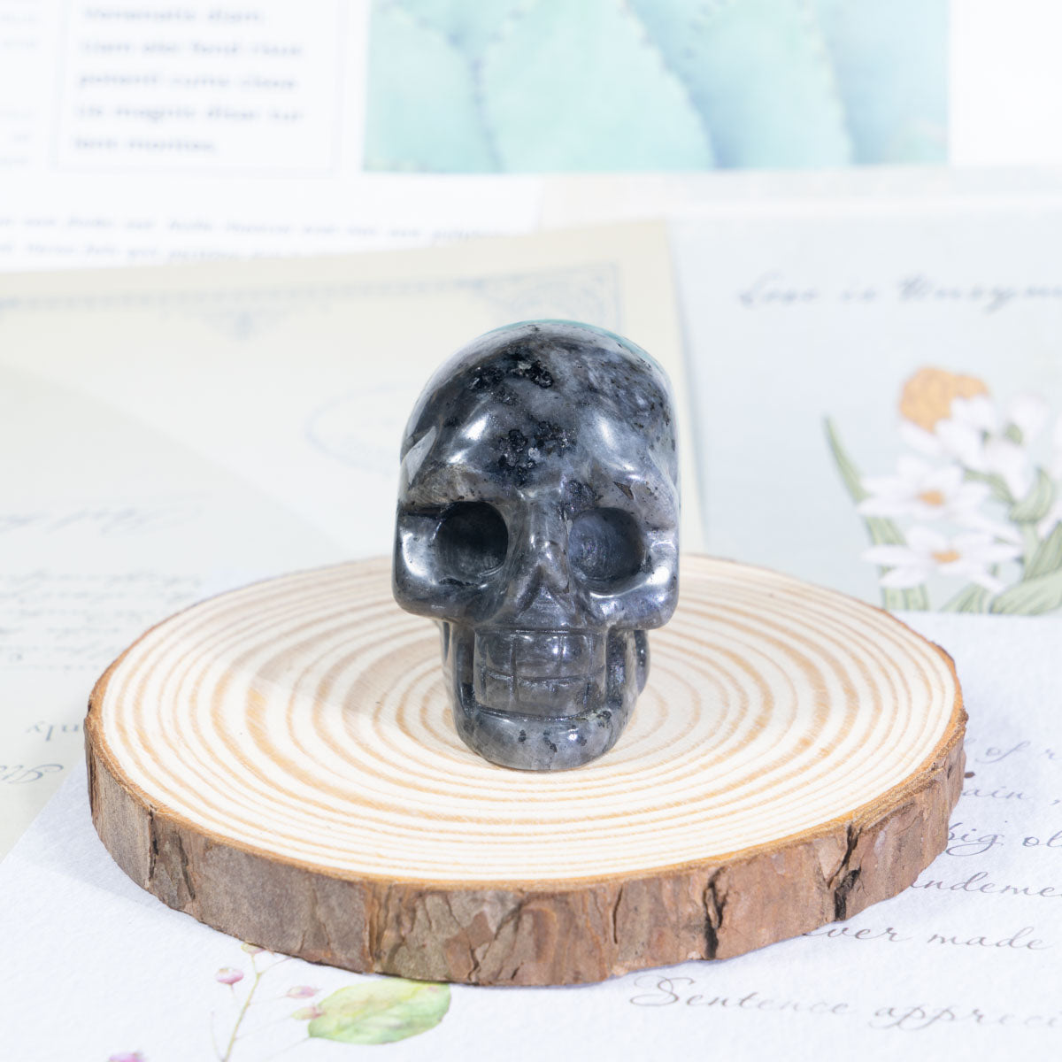 2-Zoll-Larvikit-Schädel in loser Schüttung