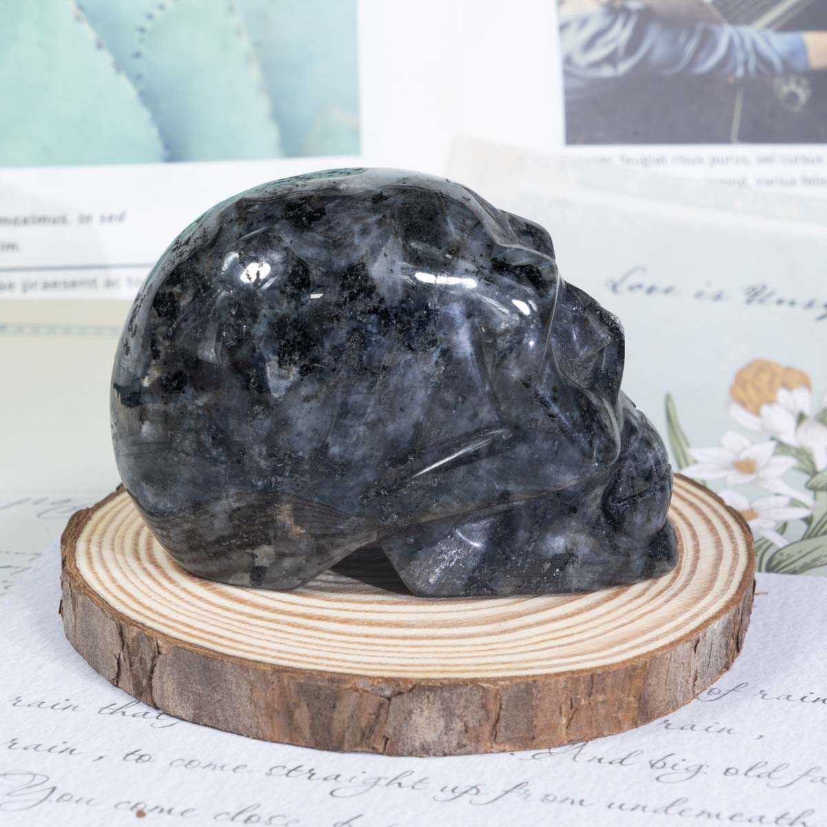 3-Zoll-Larvikit-Schädel in loser Schüttung