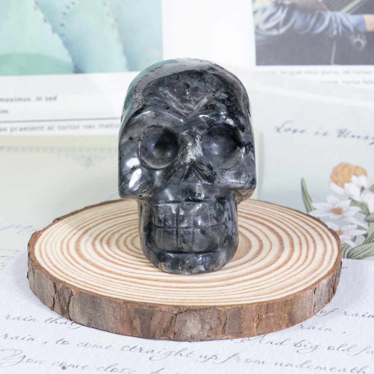 3-Zoll-Larvikit-Schädel in loser Schüttung