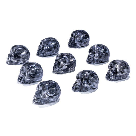 1-Zoll-Larvikit-Schädel in loser Schüttung