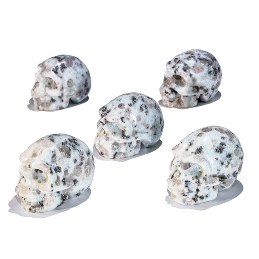 1,5-Zoll-Kiwi-Jaspis-Schädel in loser Schüttung