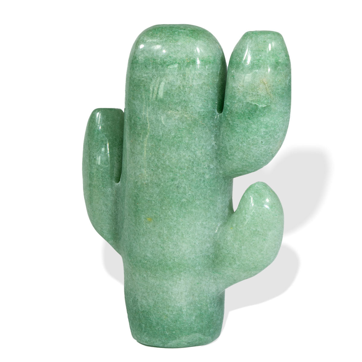 2.7-Inch Three-Branches Cactus In Bulk