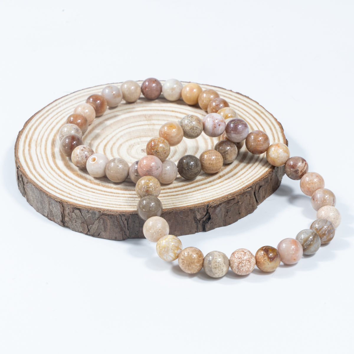 8 mm versteinerte Korallen im Großhandel