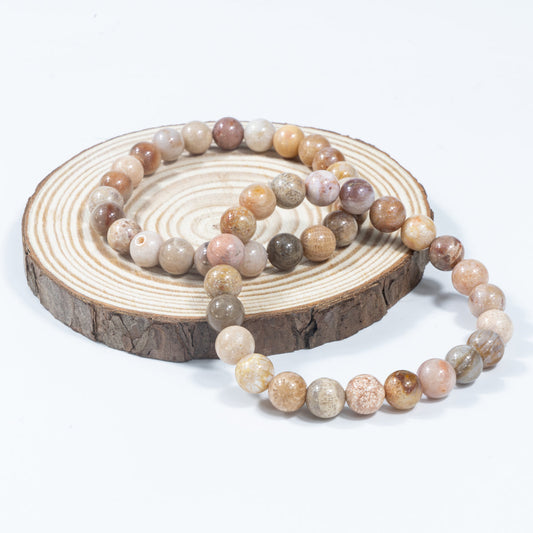 8 mm versteinerte Korallen im Großhandel