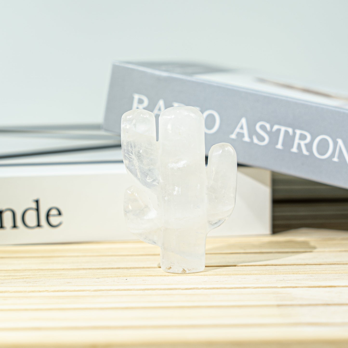 2-Inch Two-Branches Cactus In Bulk