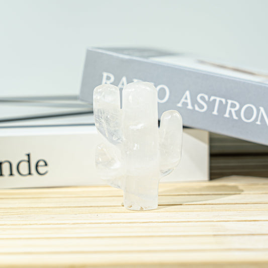 2-Inch Two-Branches Cactus In Bulk