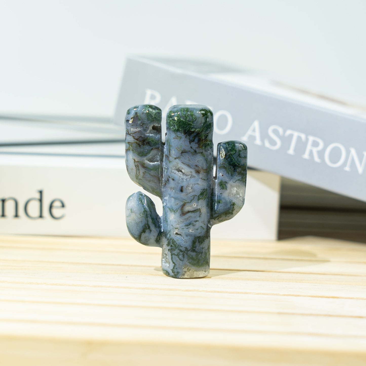 2-Inch Two-Branches Cactus In Bulk