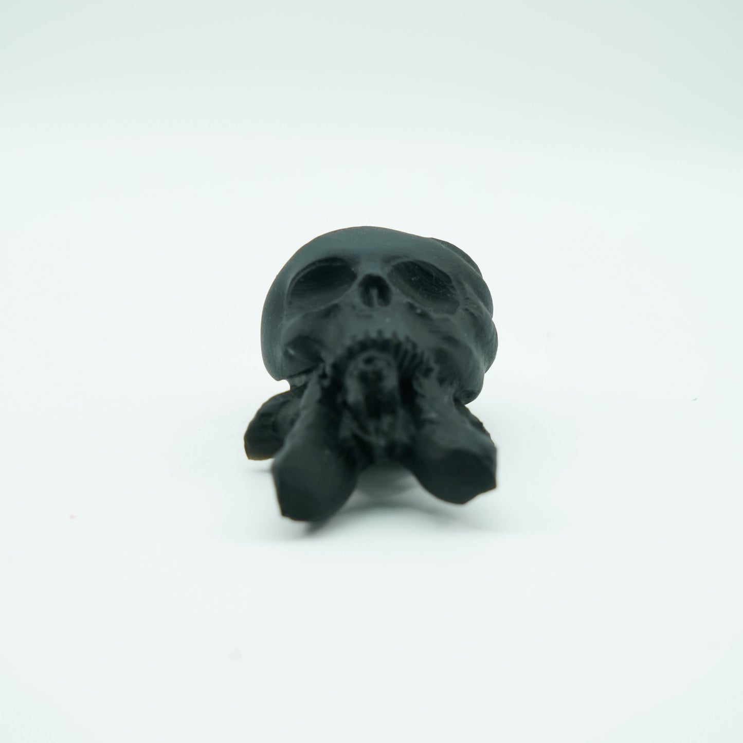 calavera con cabeza de pulpo de obsidiana negra【Hjl0010A8】