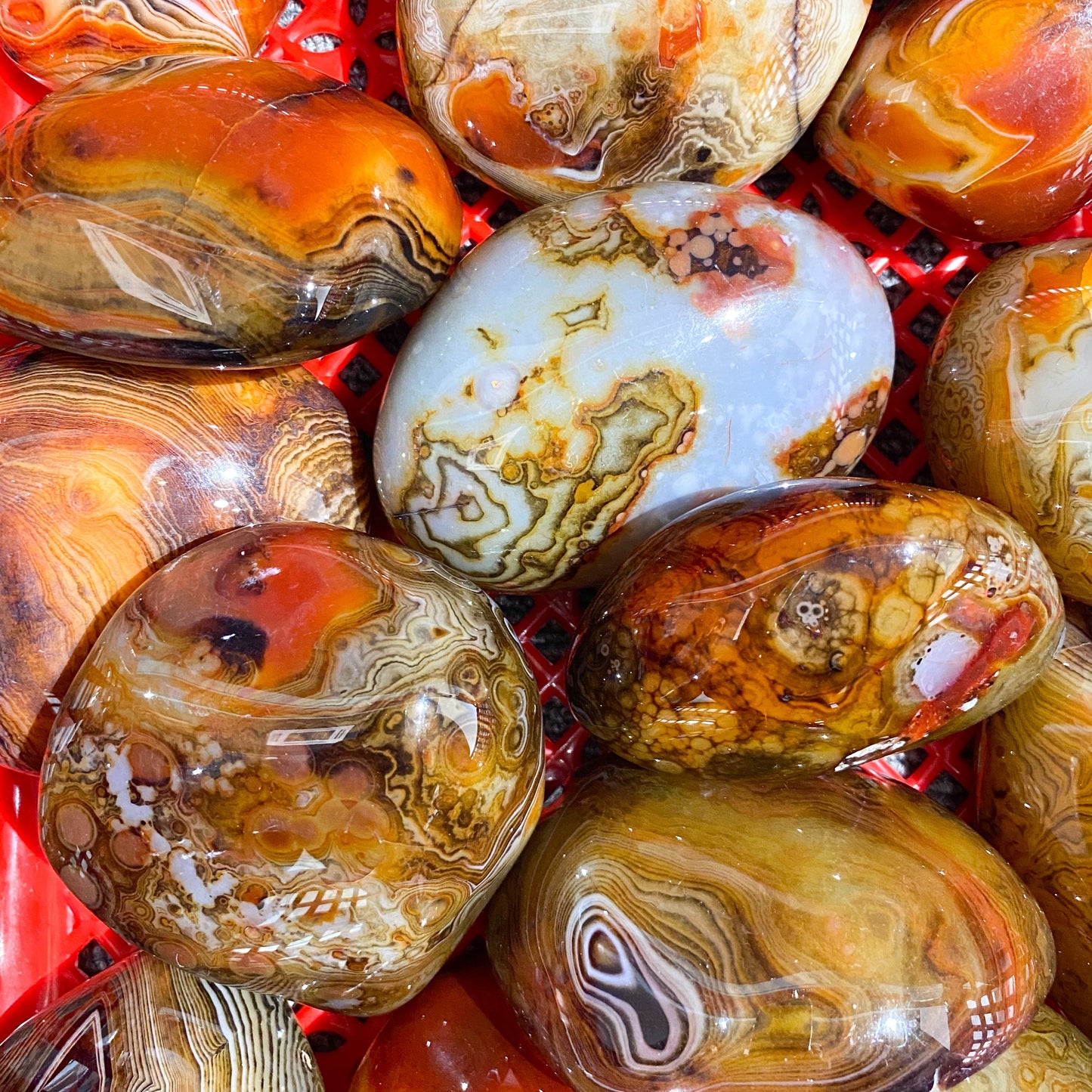 Piedra De Palma Sardonyx A Granel