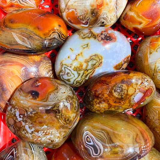 Piedra De Palma Sardonyx A Granel