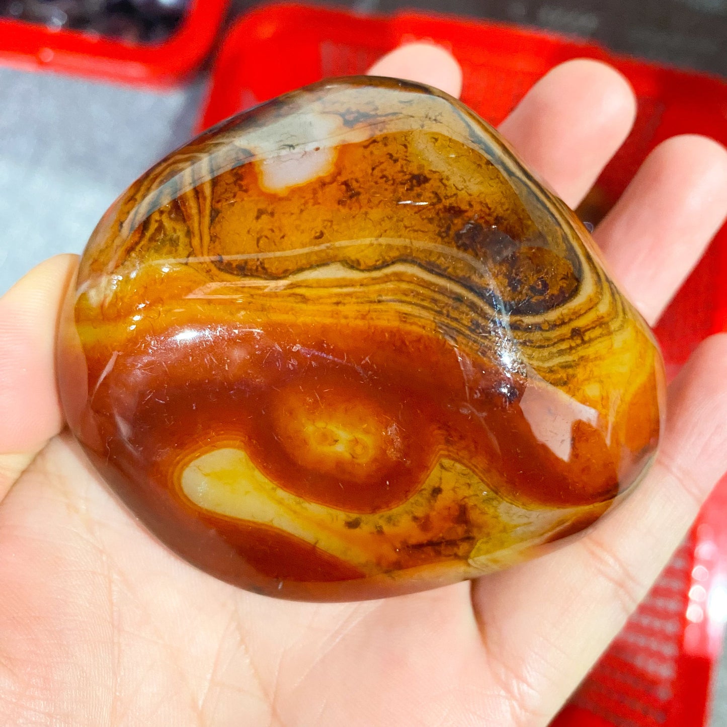 Piedra De Palma Sardonyx A Granel