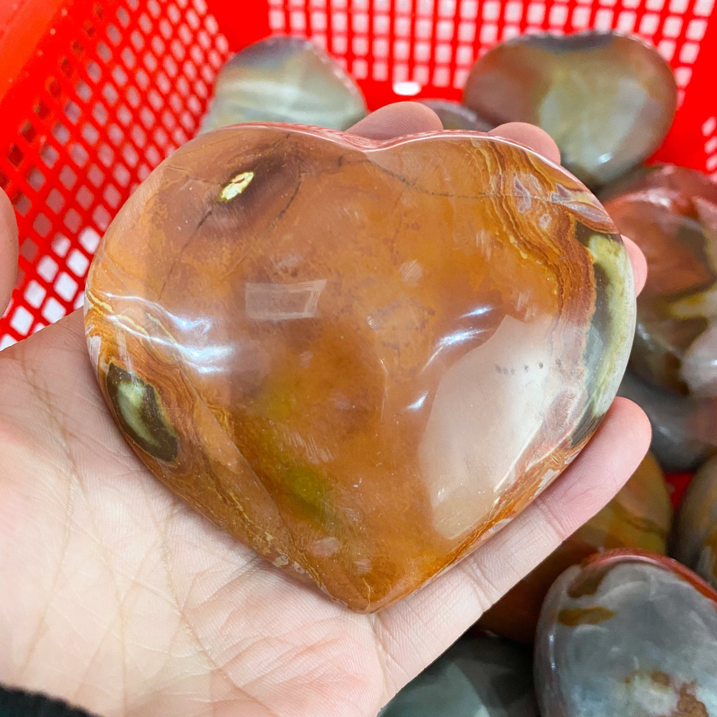 Piedra de palma de piedra oceánica a granel
