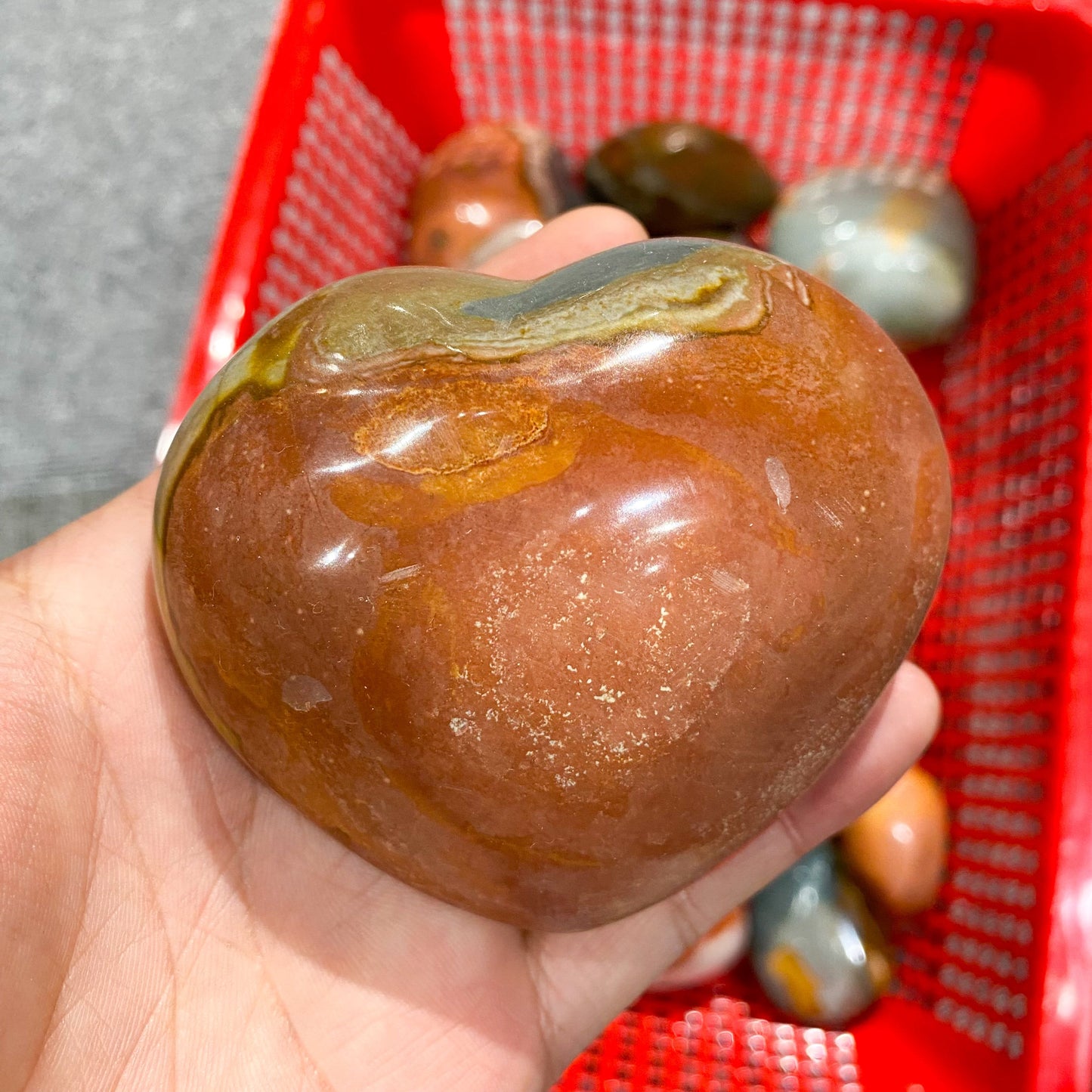 Piedra de palma de piedra oceánica a granel