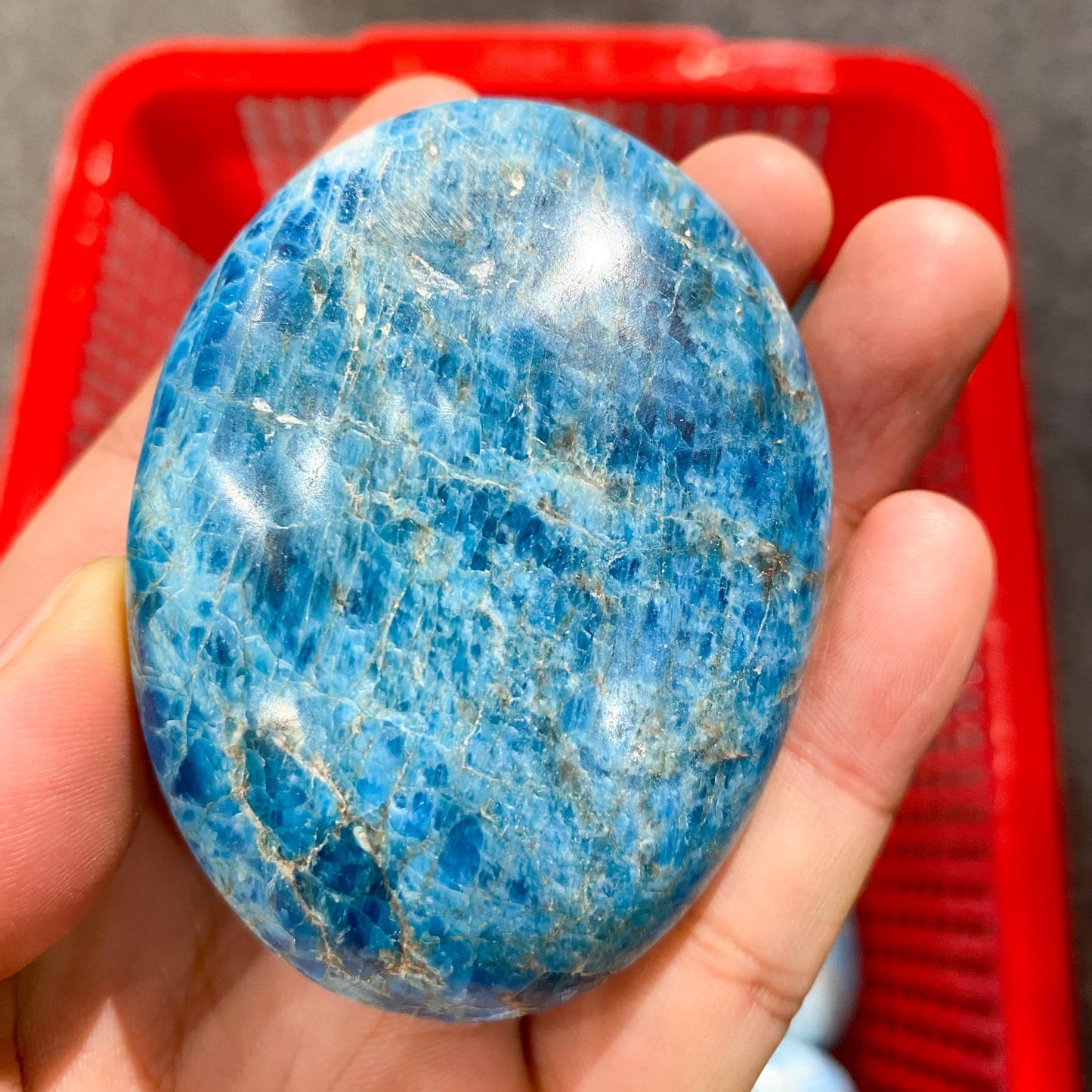 Blauer Apatit-Palmenstein in loser Schüttung