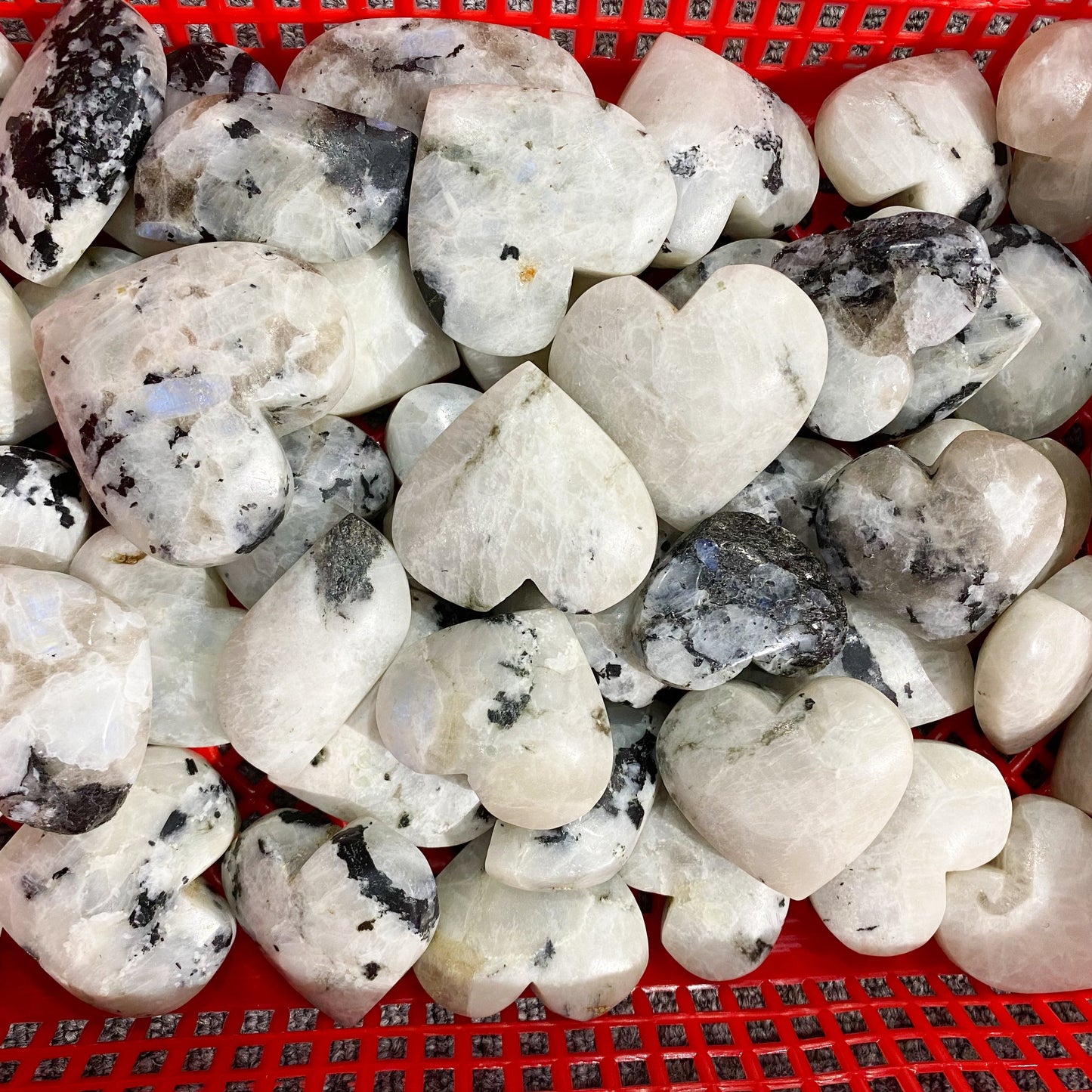 Mondstein-Herz-Palmstein in loser Schüttung