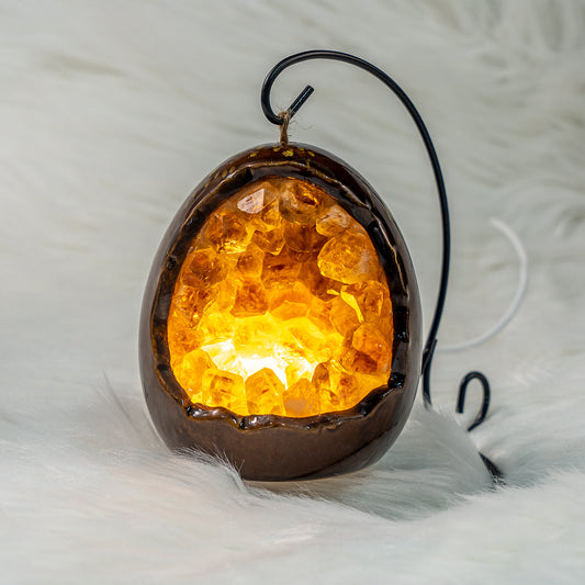 Brown Geode Dinosaur Egg  Lamp In Bulk