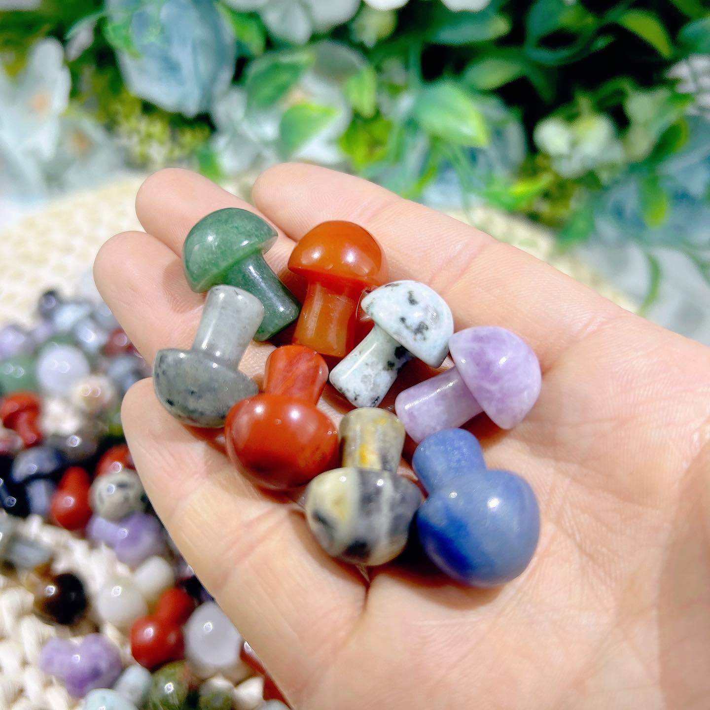 1-inch Mixed Mushroom